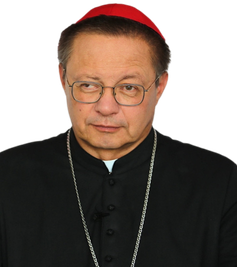 Card. Grzegorz Ryś