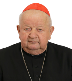 Card. Stanisław Dziwisz